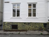 Art auf eigener Art