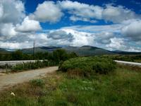 Auf dem Dovrefjell