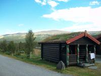 Auf dem Dovrefjell