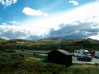 Auf dem Dovrefjell