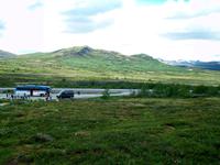 Auf dem Dovrefjell