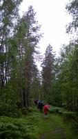 Auf dem Postweg nach Faleide