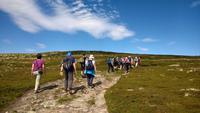 Auf der ersten Wanderung bei Lillehammer