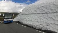Aurlandsvegen (Snøvegen)