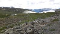 Aurlandsvegen (Snøvegen)