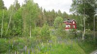 Ausflug Geiranger - Hellesylt-