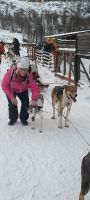 Ausflug zu den Huskys 