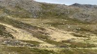 Ausflug zum Nordkap