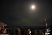 Båtsfjord - wer zeigt sich denn da - die schüchterne Lady Aurora