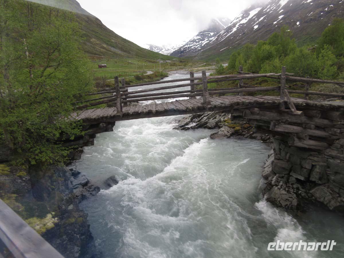Bücke im Leirdalen