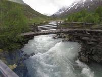 Bücke im Leirdalen