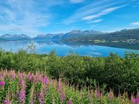 Balsfjord 