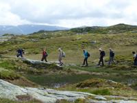 Bergen - Wanderung Ulriken - Fløyen