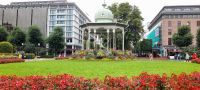 Bergen Blumenpracht
