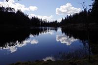Bergen Spaziergang auf dem Floyen