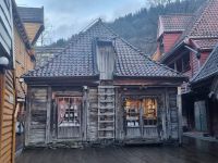 Bergen bei Regen Impressionen (15)
