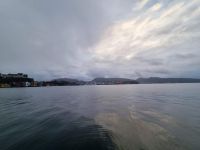 Bergen bei Regen Impressionen (21)