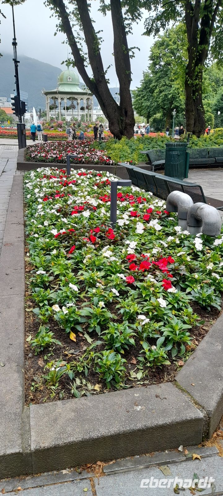 Bergen schöne Blumenpracht 