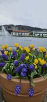 Bergen, Blick zur E.Grieg Konzerthalle