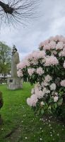 Bergen, Stadt des Rhododendron