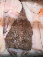 Bergen: Fischhalle, Seeteufel