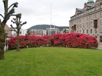 Bergen-Norwegen