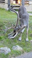 Besuch am Hotel
