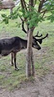 Besuch am Hotel