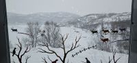 Blick aus dem Fenster im Snow Hotel
