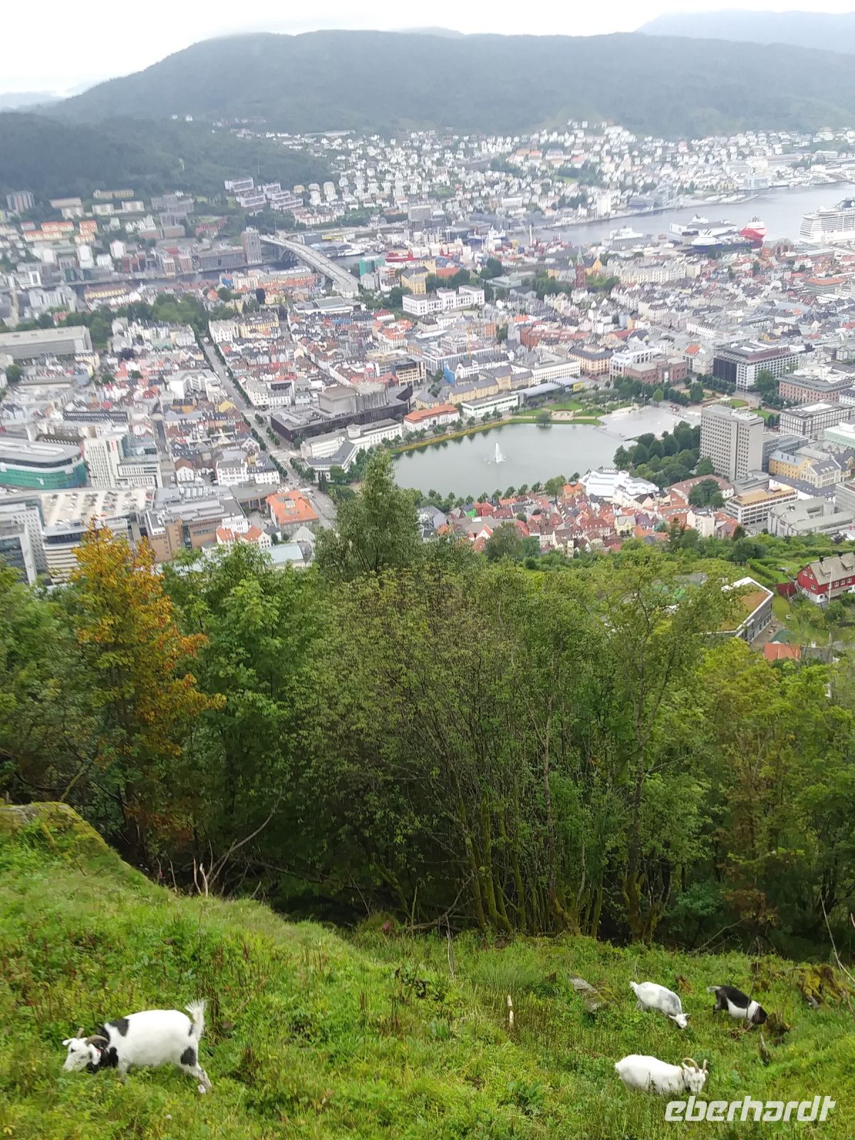 Blick vom Floyen