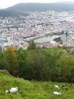 Blick vom Floyen