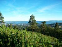 Blick vom Hotel