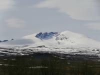 Blick zum Snöhetta im Dovrefjell