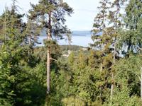 Blick zum Tyrifjord