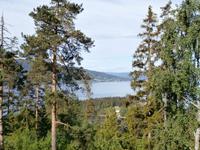 Blick zum Tyrifjord