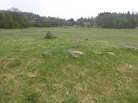Blomsholm