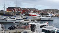 Bodo, Marina und Rorbeurs im Hintergrund