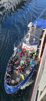 Boot zur Seeadler Safarie
