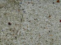 Bootsfahrt mit dem RIB-Schlauchboot