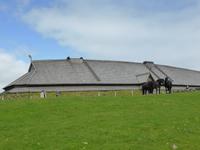 Borg - Wikingermuseum Lofotr 