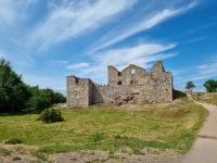 Brahehus