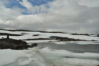 DSC 5390
