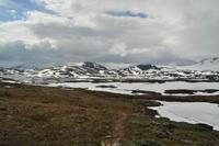 DSC 5440