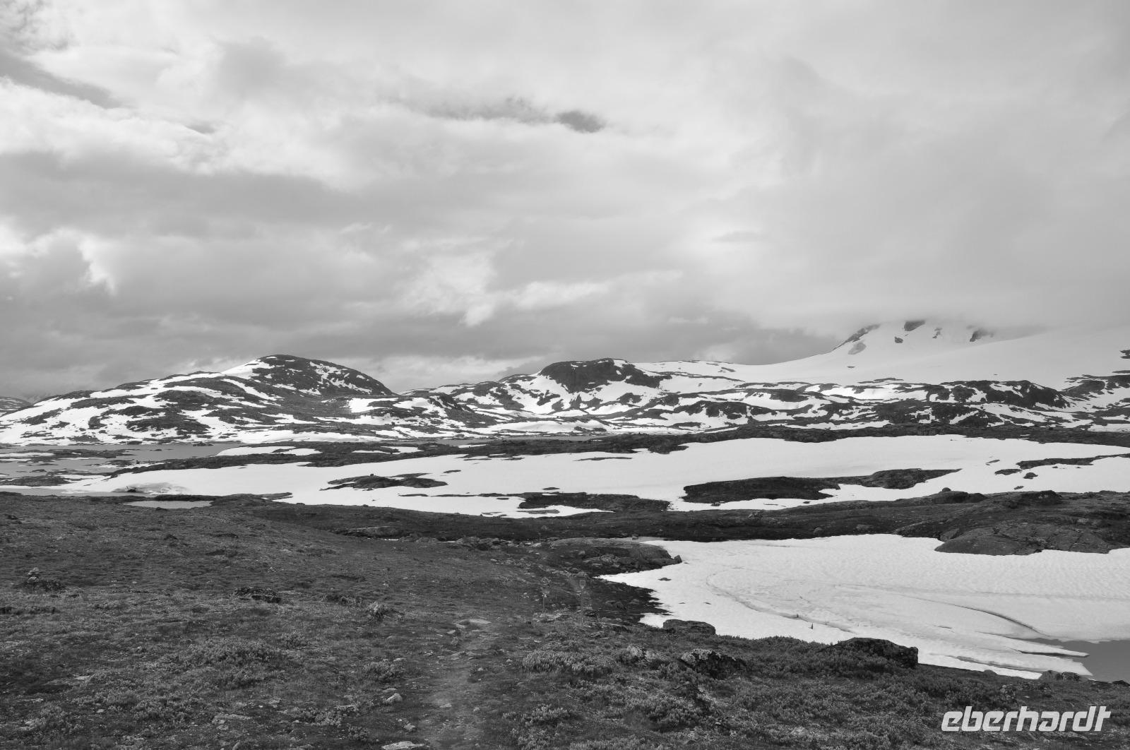 DSC 5444