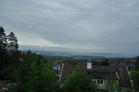 DSC 6105