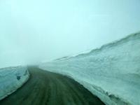 Dalsnibba