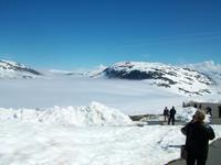 Dalsnibba