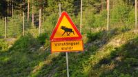 Das wohl bekannteste Verkehrsschild Schwedens