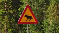 Das wohl bekannteste Verkehrsschild Schwedens