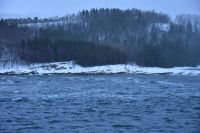 Der Rystraumen - hier wirken starke Gezeiten - die hohe Strömungsgeschwindigkeiten von bis zu 6 - 15 km/h (6 - 8 kn) erzeugen können